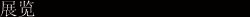 展览